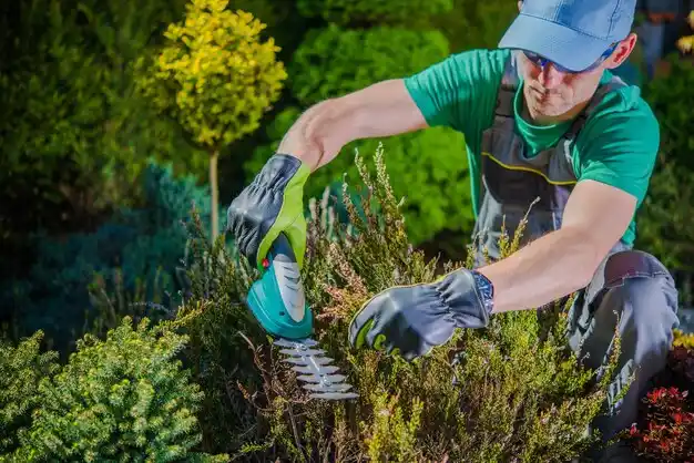 landscaping services Jefferson Valley-Yorktown